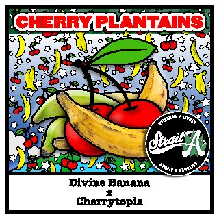 Strait A Genetics – Cherry Plantains*